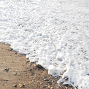 Meet your Posher, Rhonda